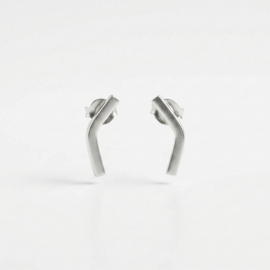 Pair of silver earrings on a white background
