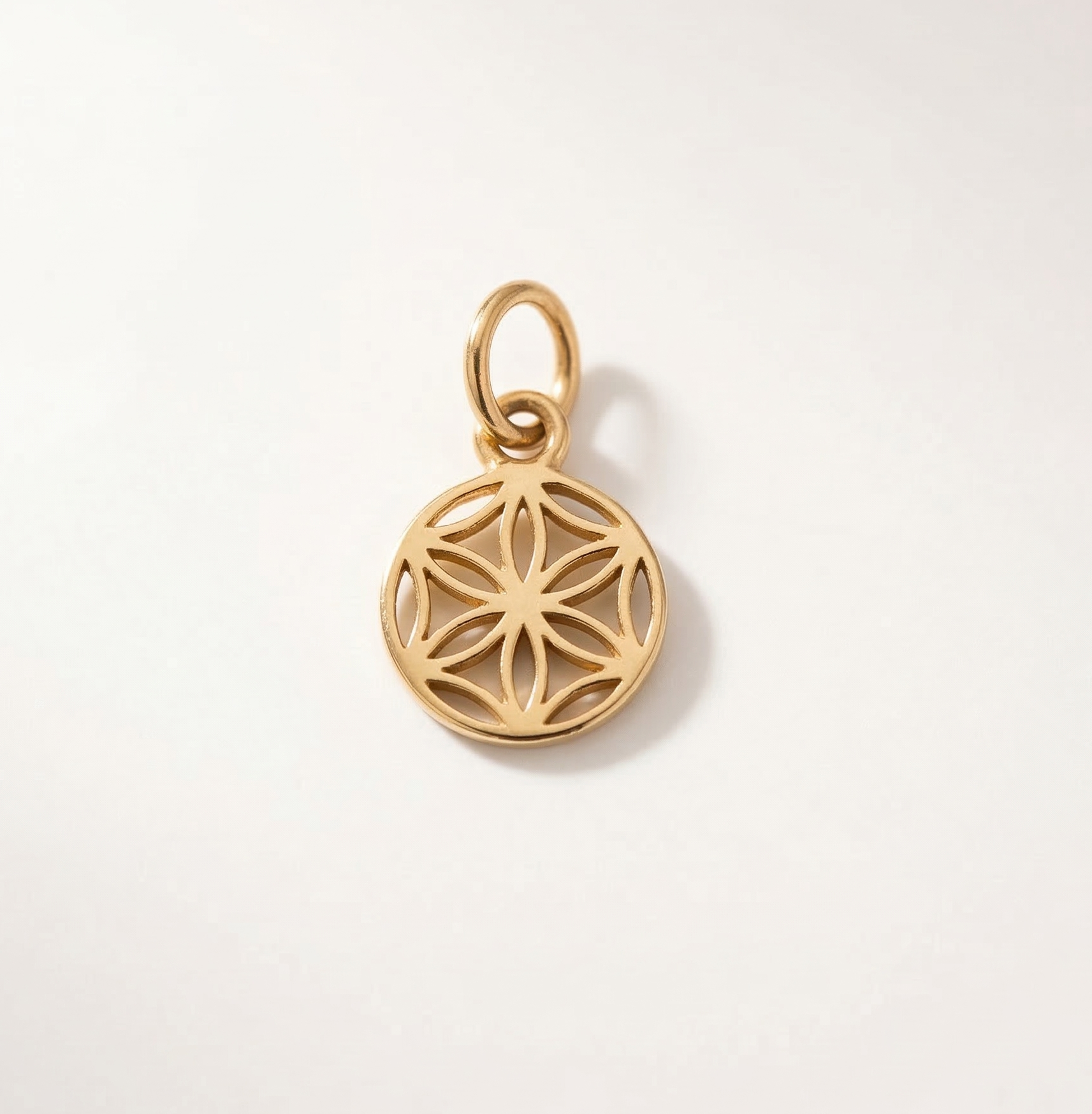 circle of life gold charm